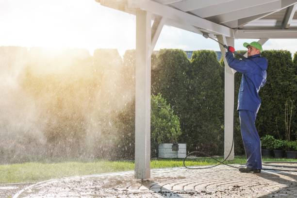 Best Driveway Pressure Washing  in Florissant, MO